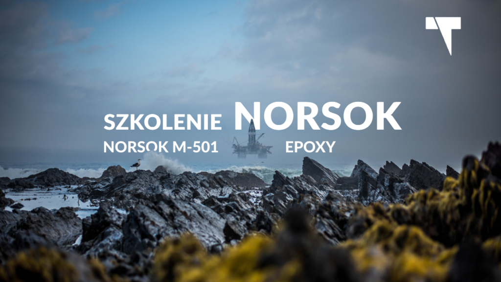 NORSOK M-501